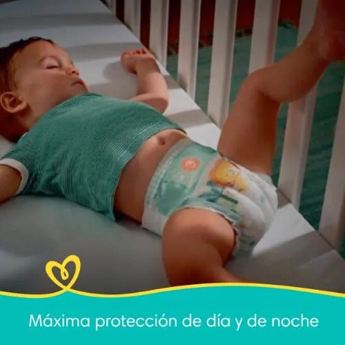 Pañales Pampers confort sec P x72
