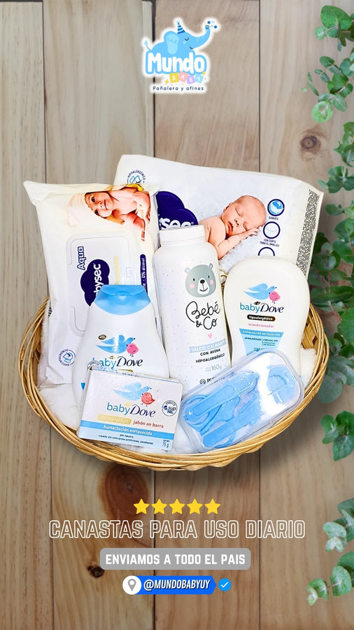 🧸 Canasta 5 - Mundo Baby 🧸